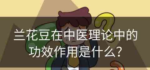 兰花豆在中医理论中的功效作用是什么？